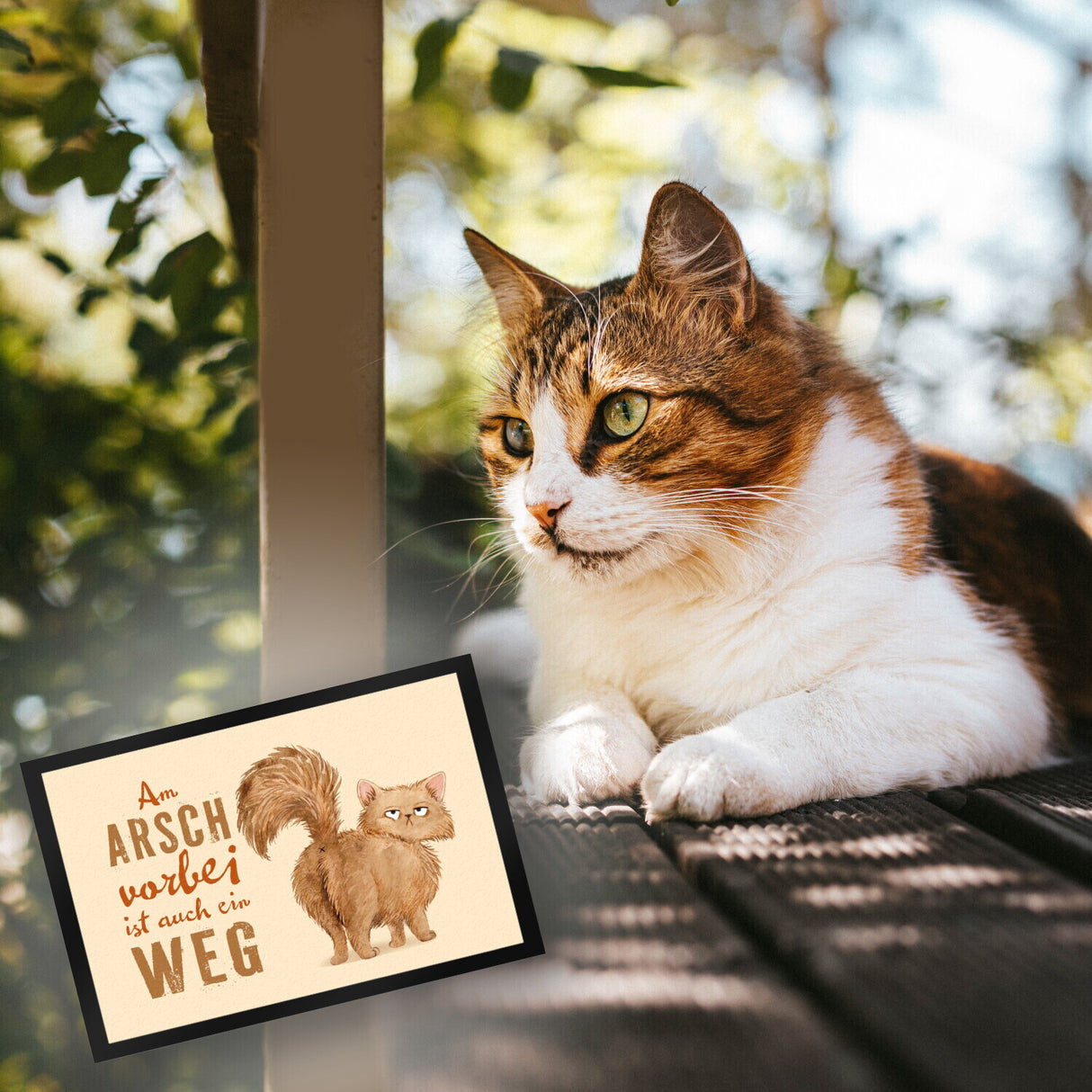 Katze Fußmatte in 35x50 cm mit Spruch Am Arsch vorbei ist auch ein Weg