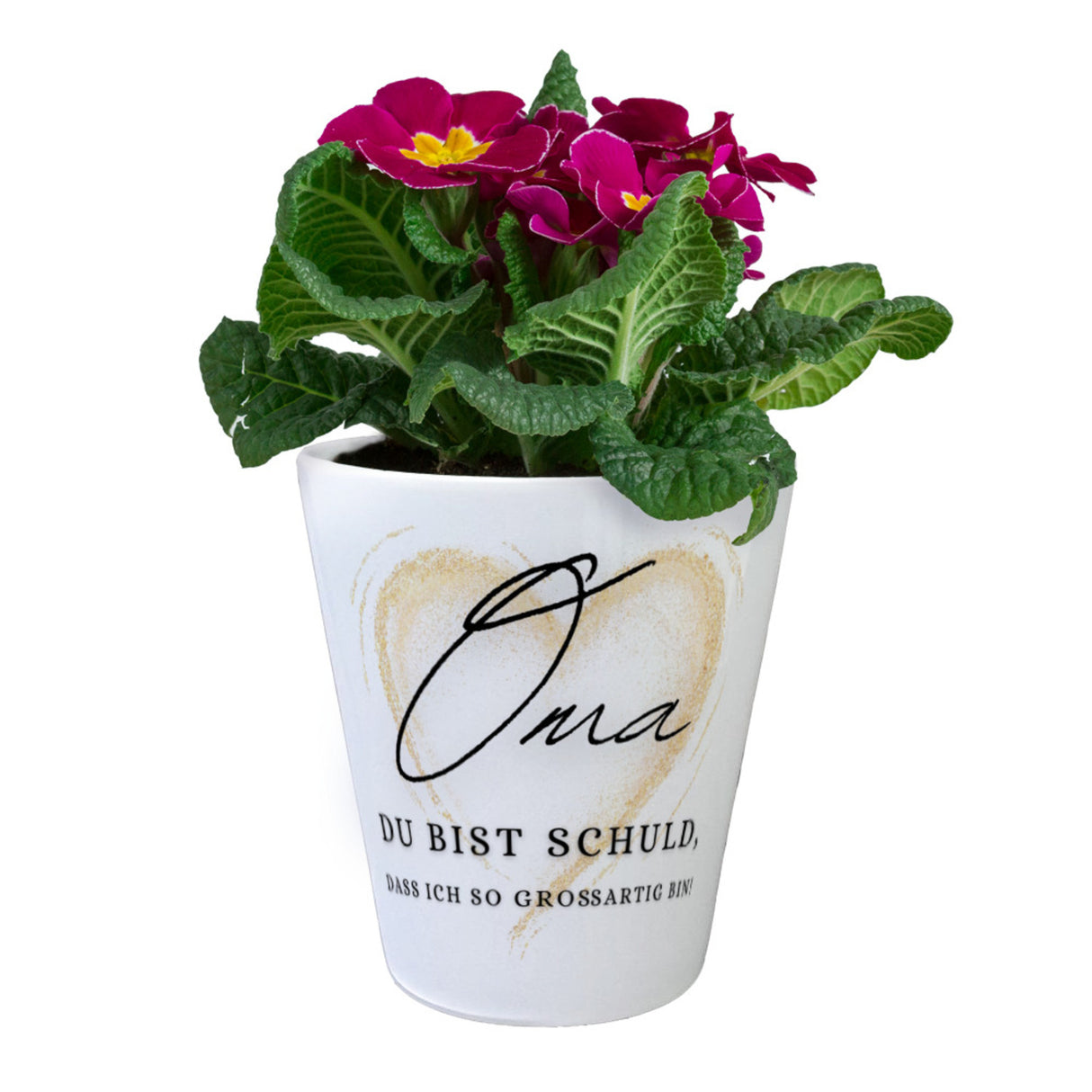 Herz Blumentopf mit Spruch Oma Grund meiner Großartigkeit