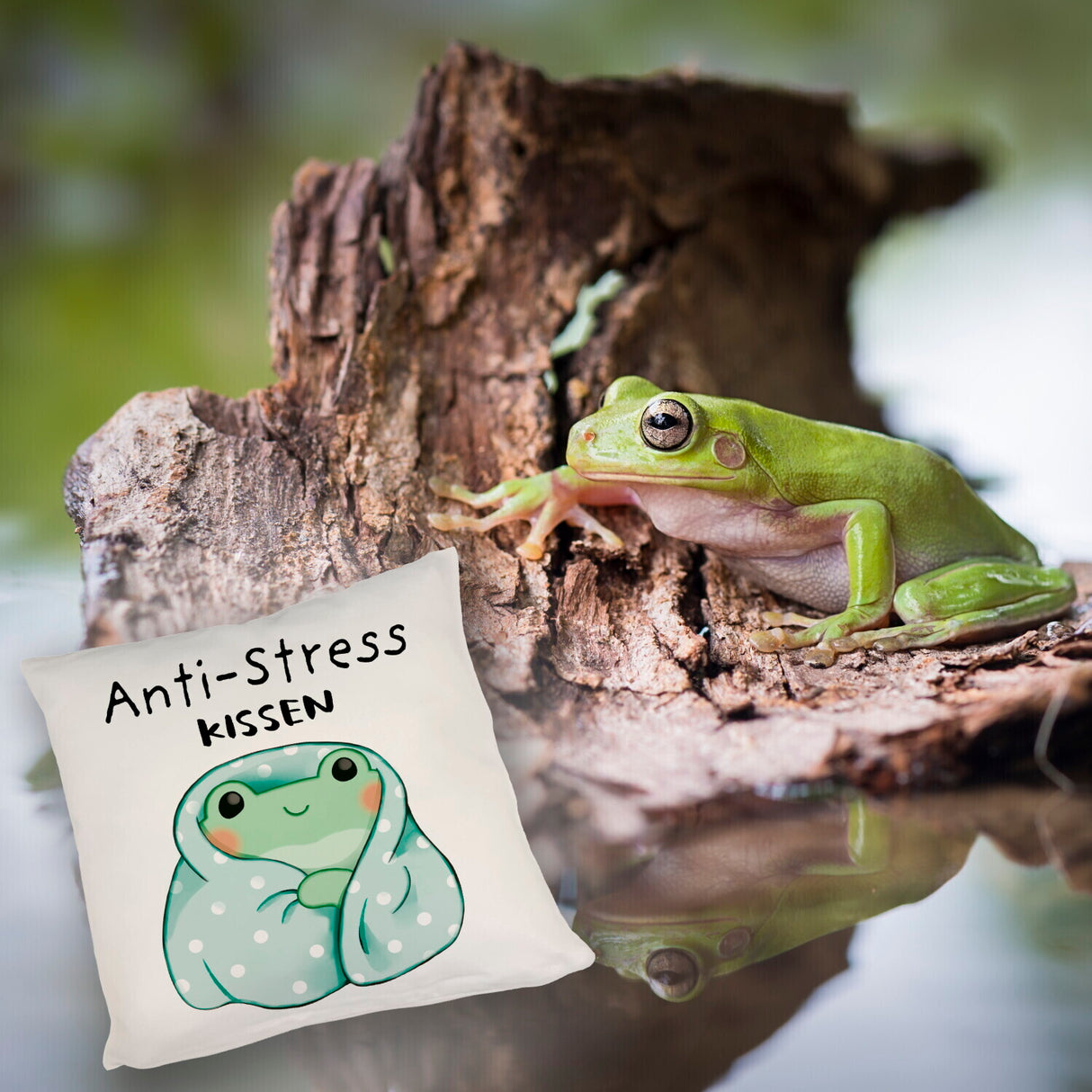 Frosch er Decke Kissen mit Spruch Anti-Stress Kissen