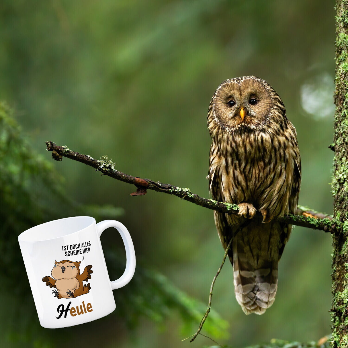 Eule - Heule Kaffeebecher mit Spruch Ist doch alles scheiße hier