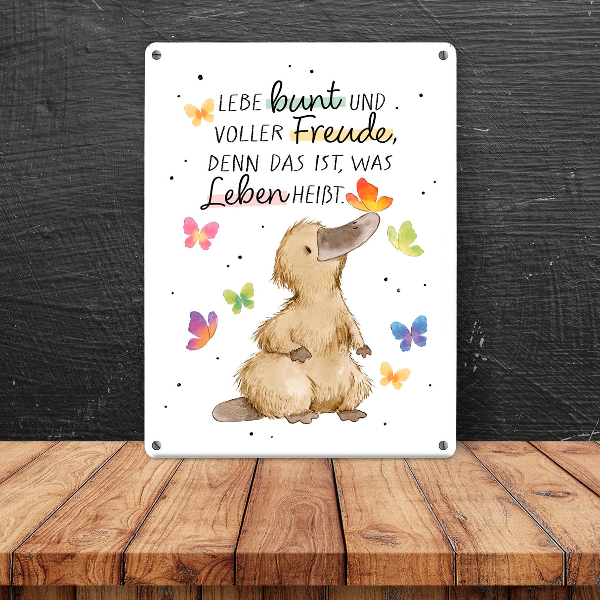 Schnabeltier Metallschild in 15x20 cm mit Spruch Lebe bunt und freudig