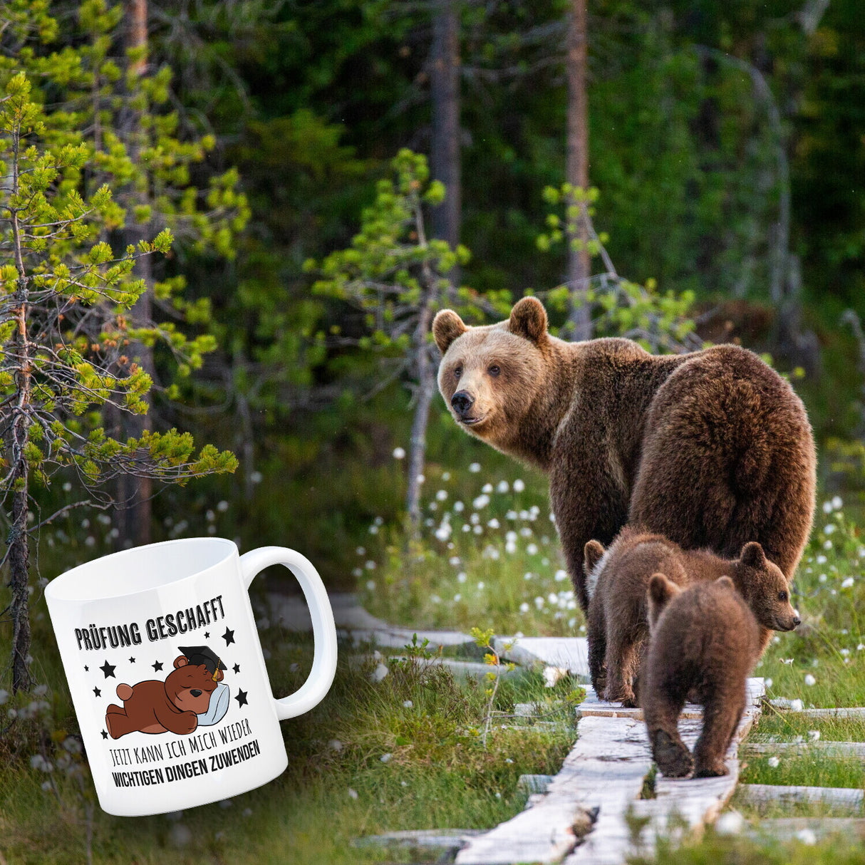 Schlafender Bär mit Doktorhut Kaffeebecher mit Spruch Prüfung bestanden