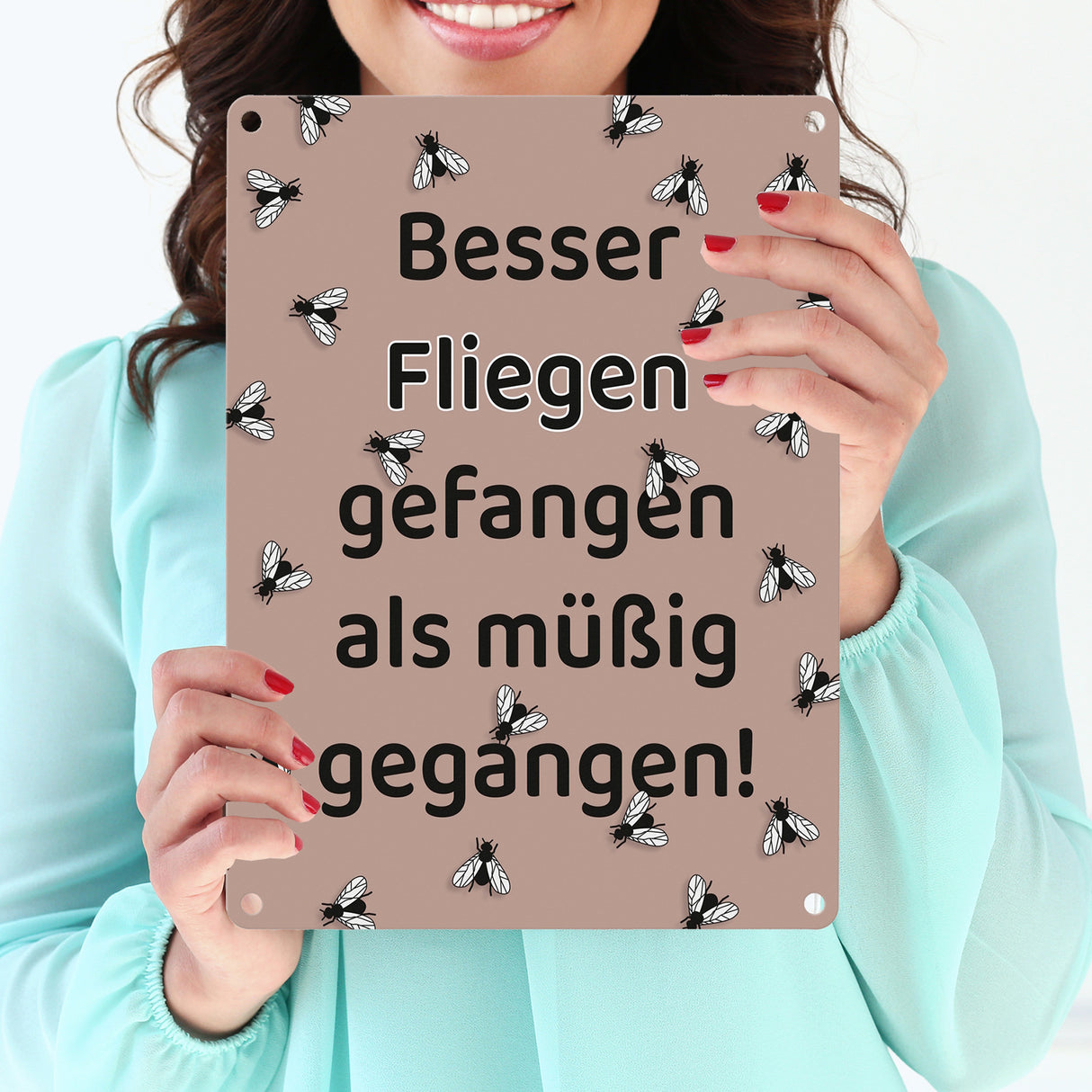 Fliege Metallschild in 15x20 cm mit Spruch Besser Fliegen fangen als faulenzen