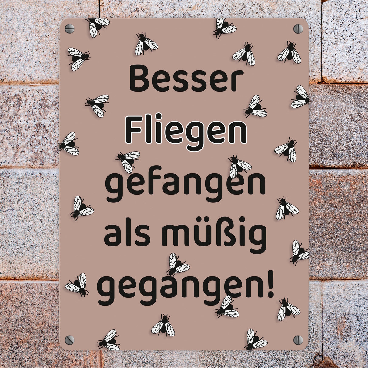 Fliege Metallschild in 15x20 cm mit Spruch Besser Fliegen fangen als faulenzen