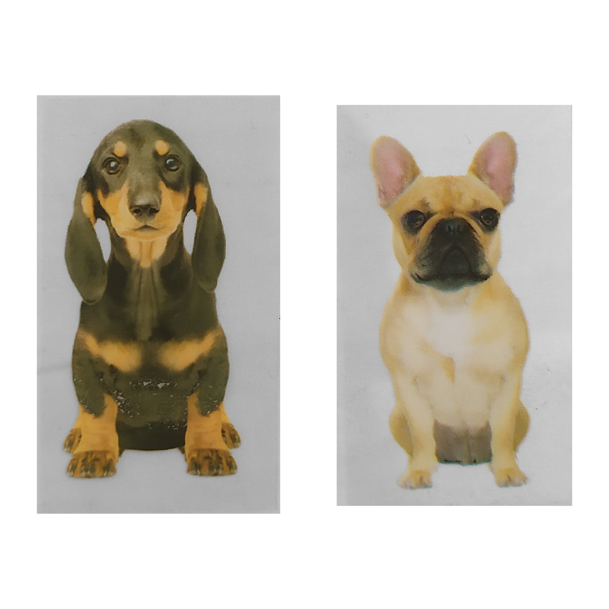 Hunde Lesezeichen im 100er Set