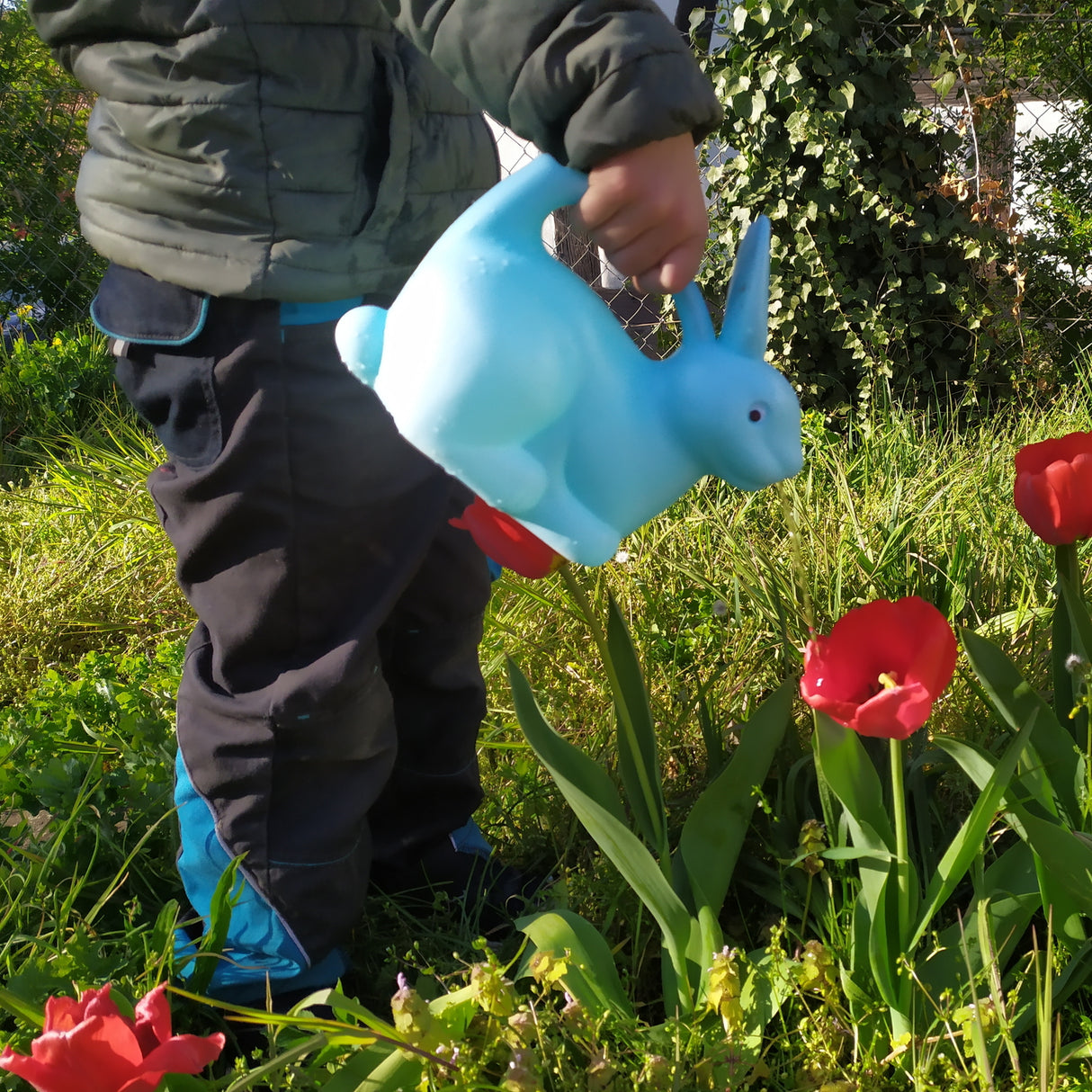 Hase Gießkanne in blau