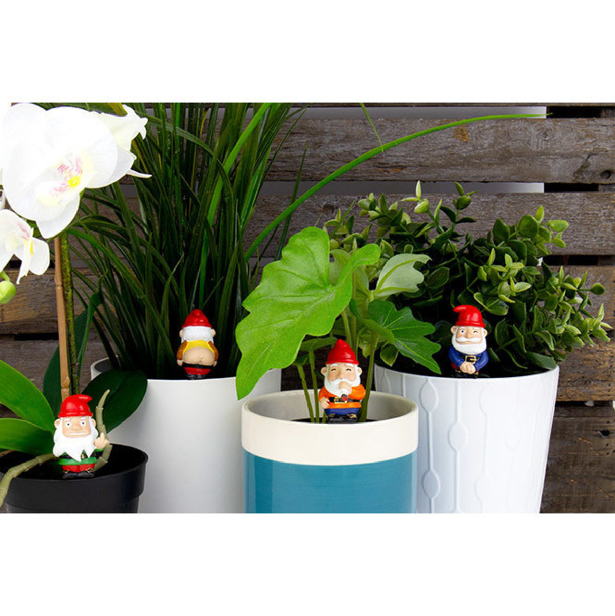 Freche Mini Gartenzwerge im 4er Set