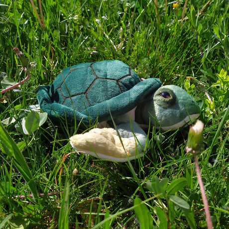 Schildkröte Animigos Kuscheltier