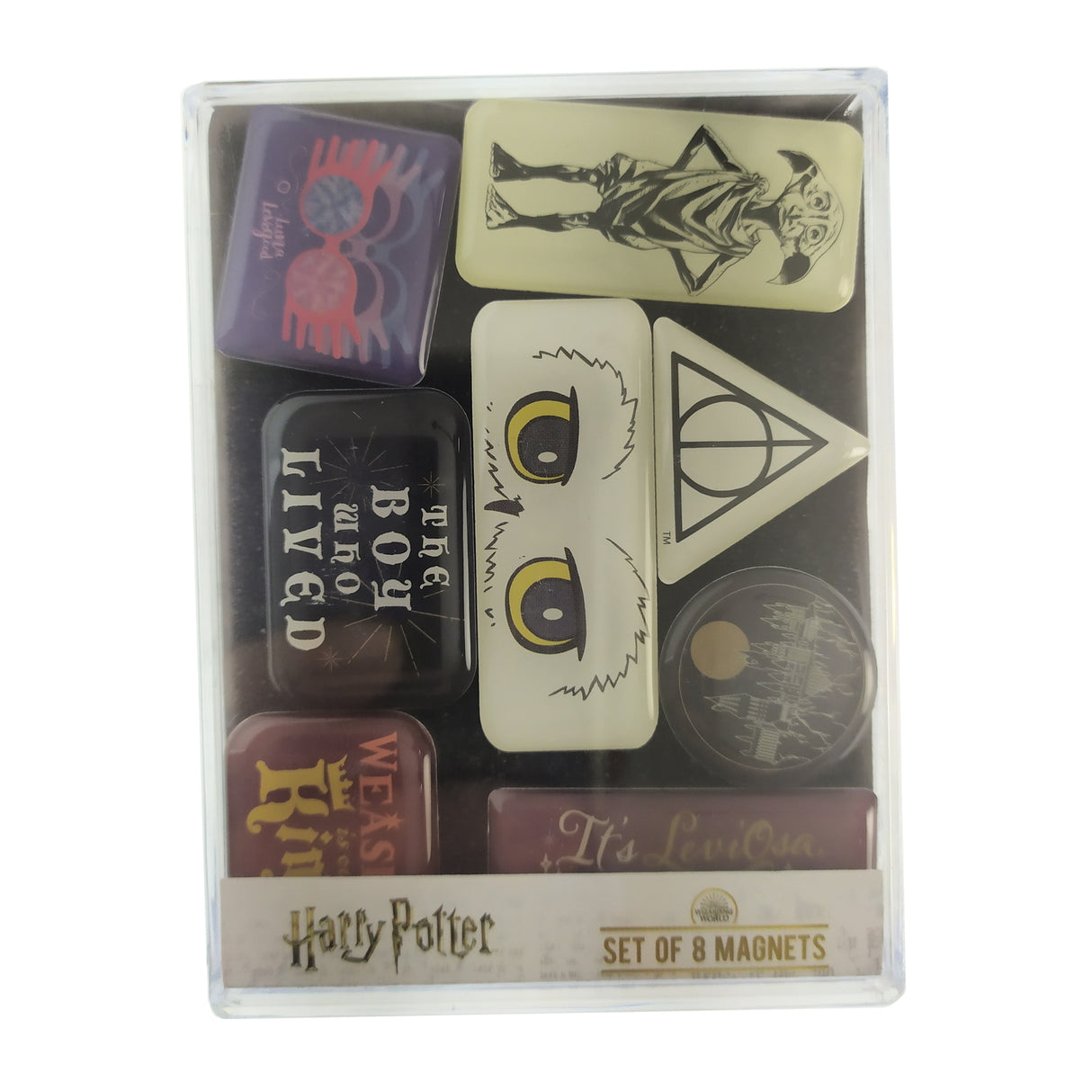 Harry Potter Charaktere Kühlschrankmagnete im 8er Set