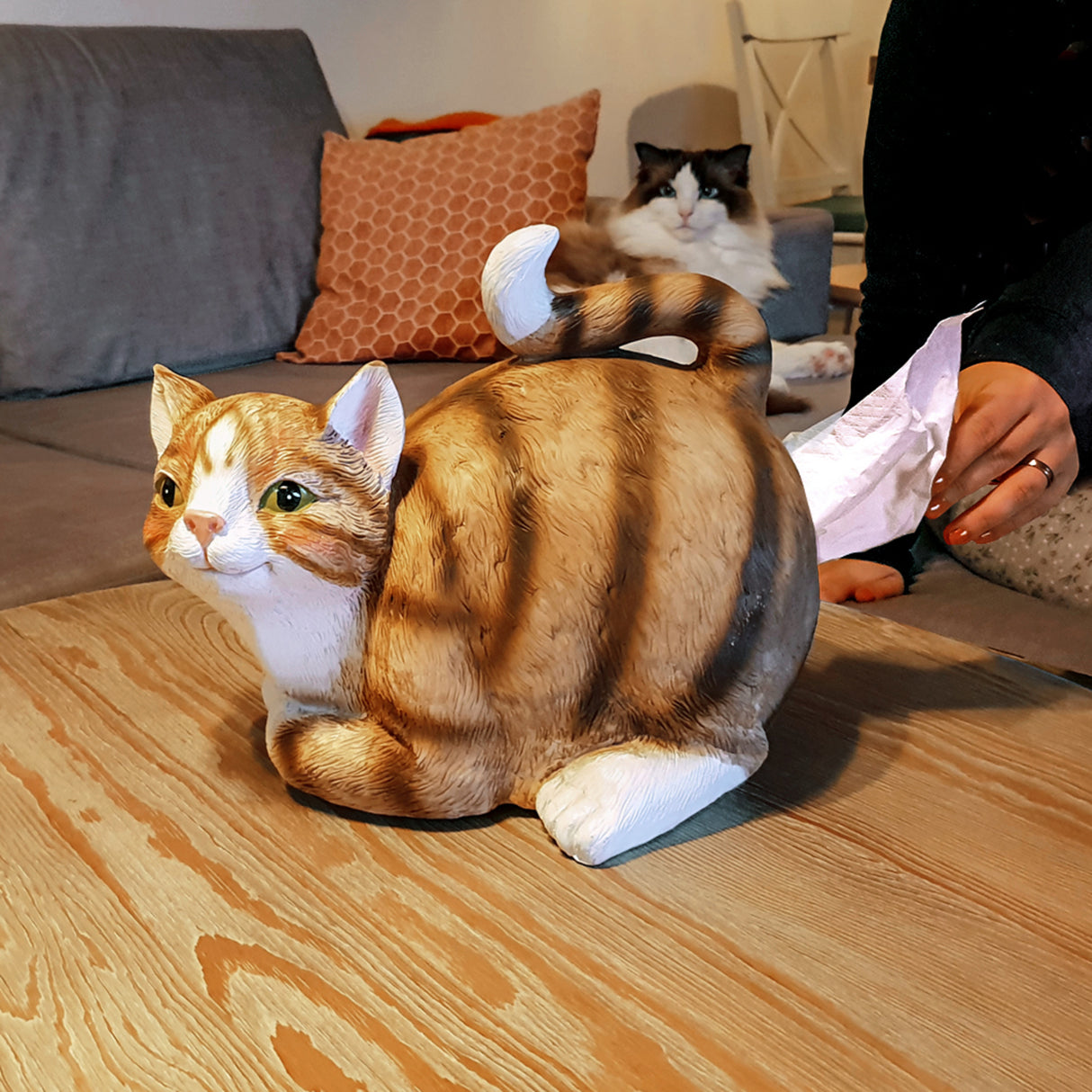 Katze Kosmetiktuchhalter