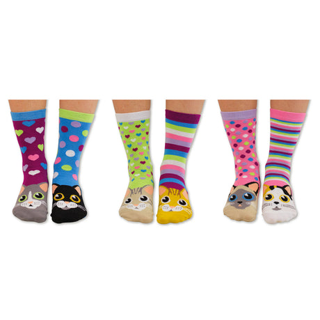 Oddsocks Catwalk Socken im 6er Set