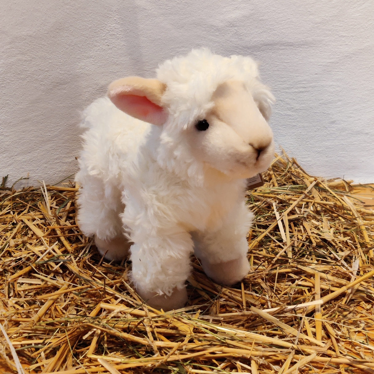 Lamm Animigos Kuscheltier