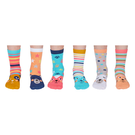 Catkins Katzen Oddsocks Socken in 27-30 im 6er Set