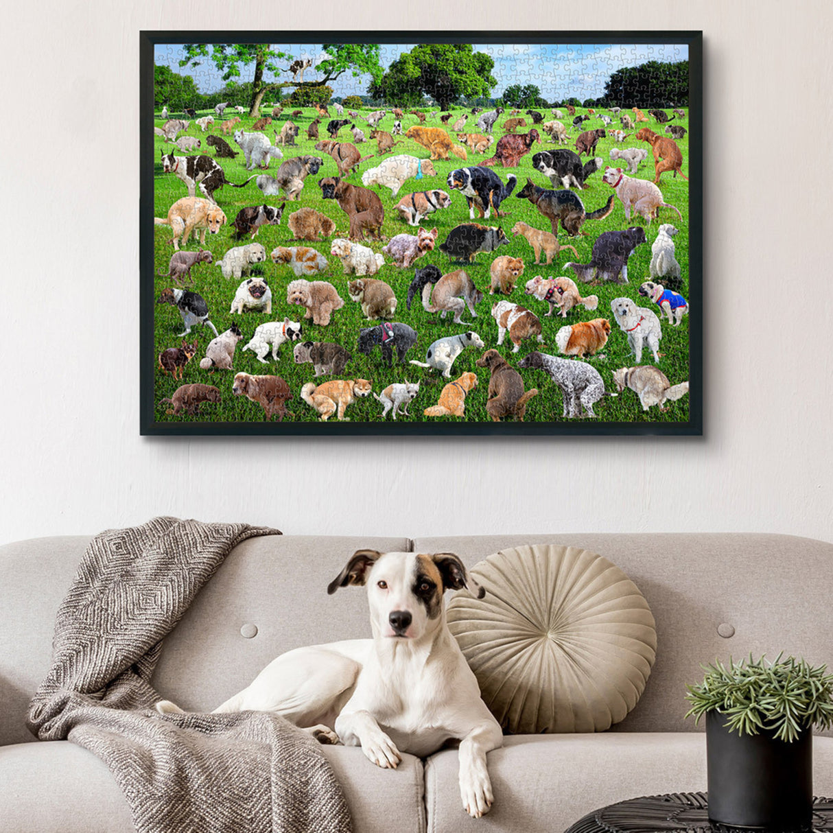 101 Hunde beim Kacken Puzzle mit 1000 Teilen