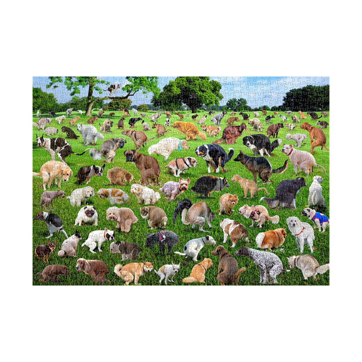 101 Hunde beim Kacken Puzzle mit 1000 Teilen