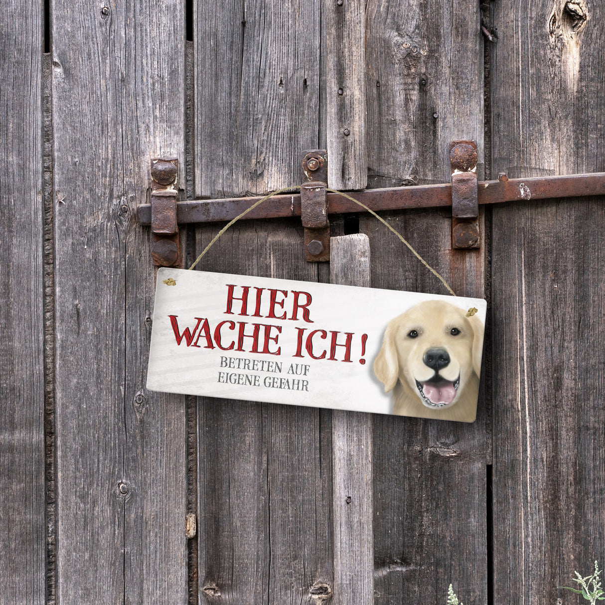 Metallschild mit Golden Retriever Motiv und Spruch: Betreten auf eigene Gefahr ...