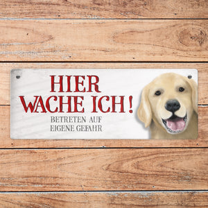 Metallschild mit Golden Retriever Motiv und Spruch: Betreten auf eigene Gefahr ...