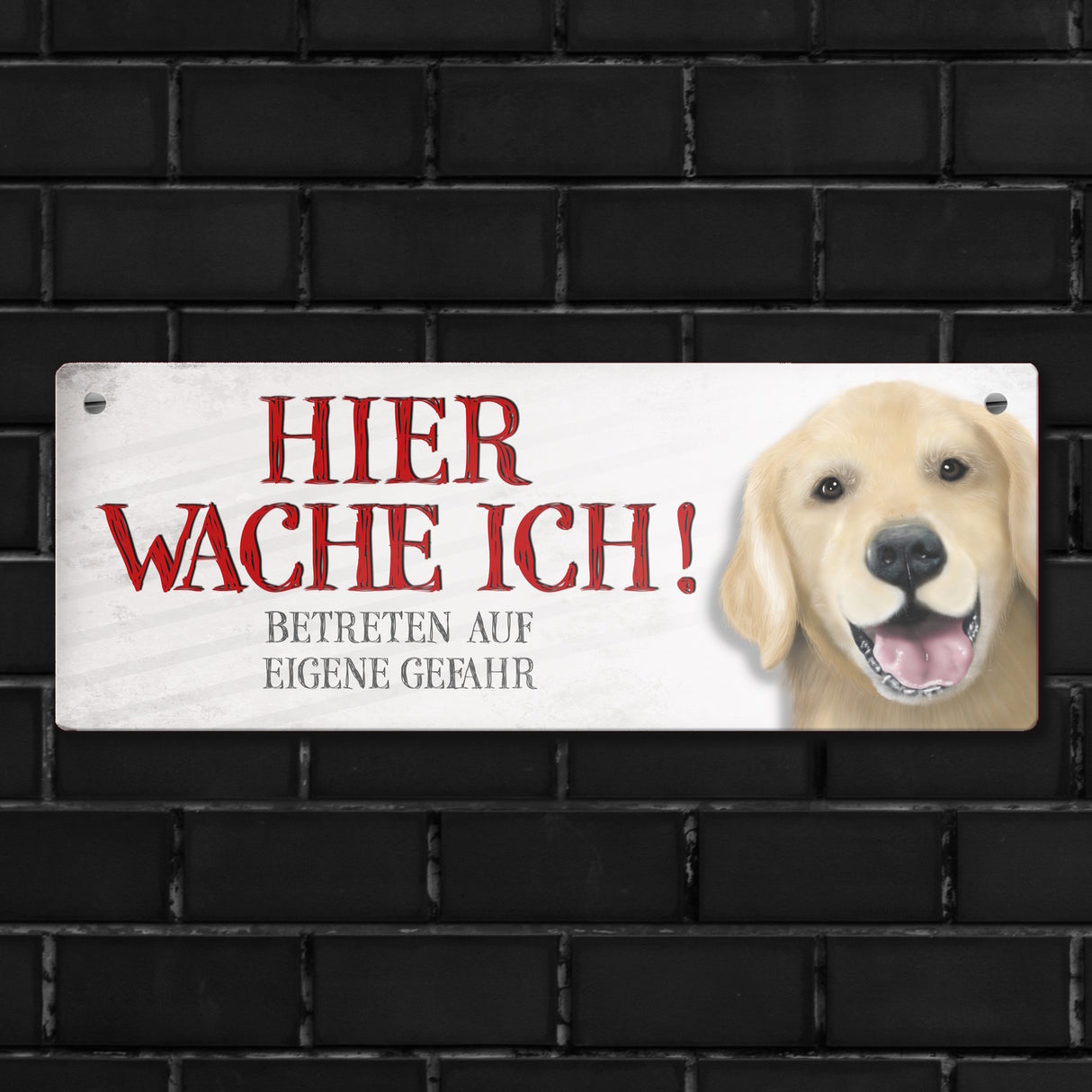 Metallschild mit Golden Retriever Motiv und Spruch: Betreten auf eigene Gefahr ...