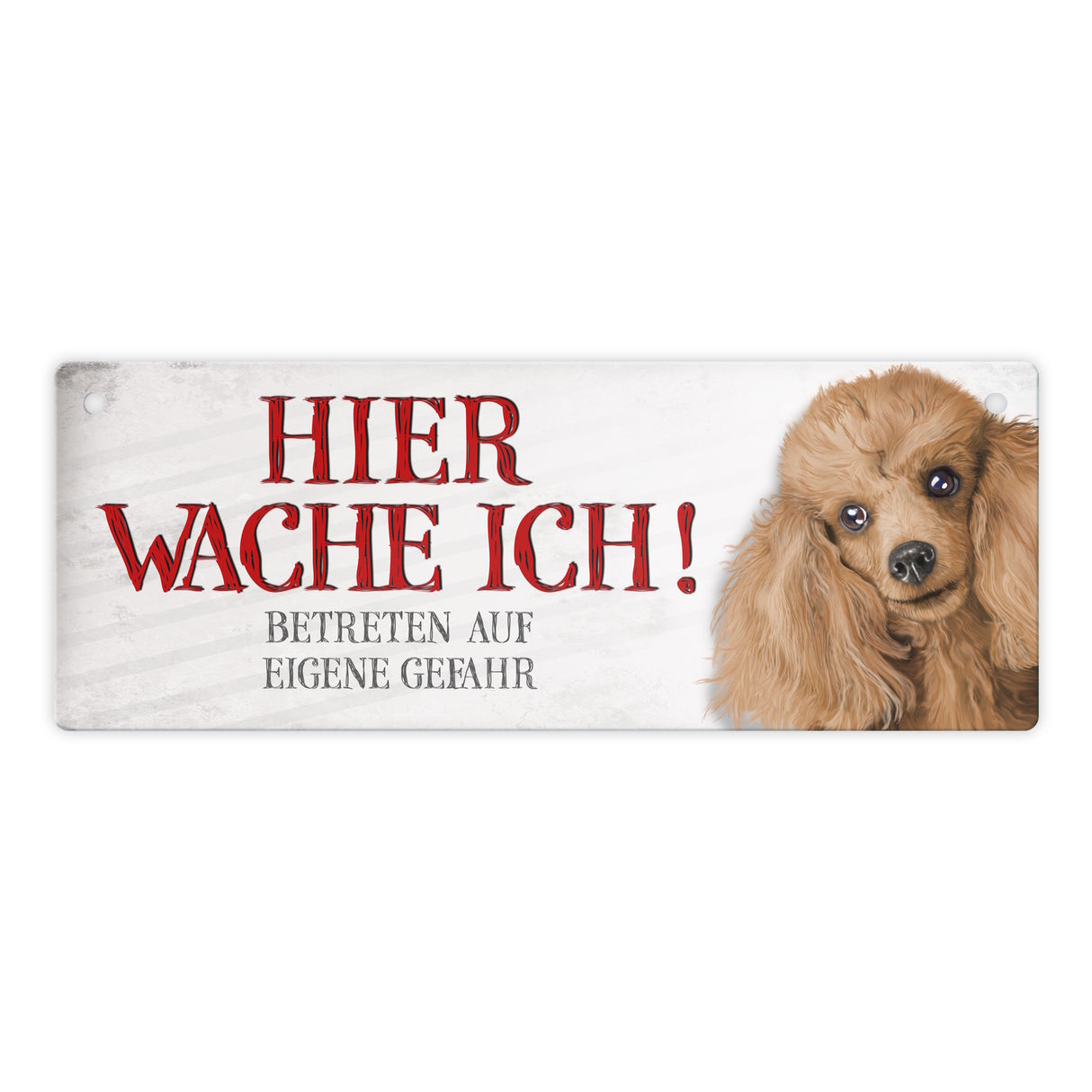 Metallschild mit Pudel Motiv und Spruch: Betreten auf eigene Gefahr ...