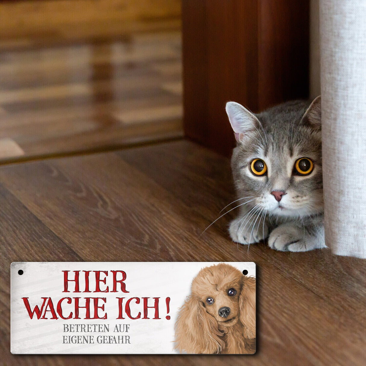 Metallschild mit Pudel Motiv und Spruch: Betreten auf eigene Gefahr ...