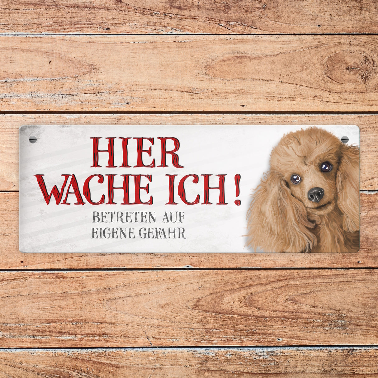 Metallschild mit Pudel Motiv und Spruch: Betreten auf eigene Gefahr ...