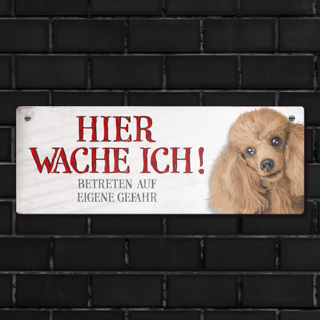 Metallschild mit Pudel Motiv und Spruch: Betreten auf eigene Gefahr ...