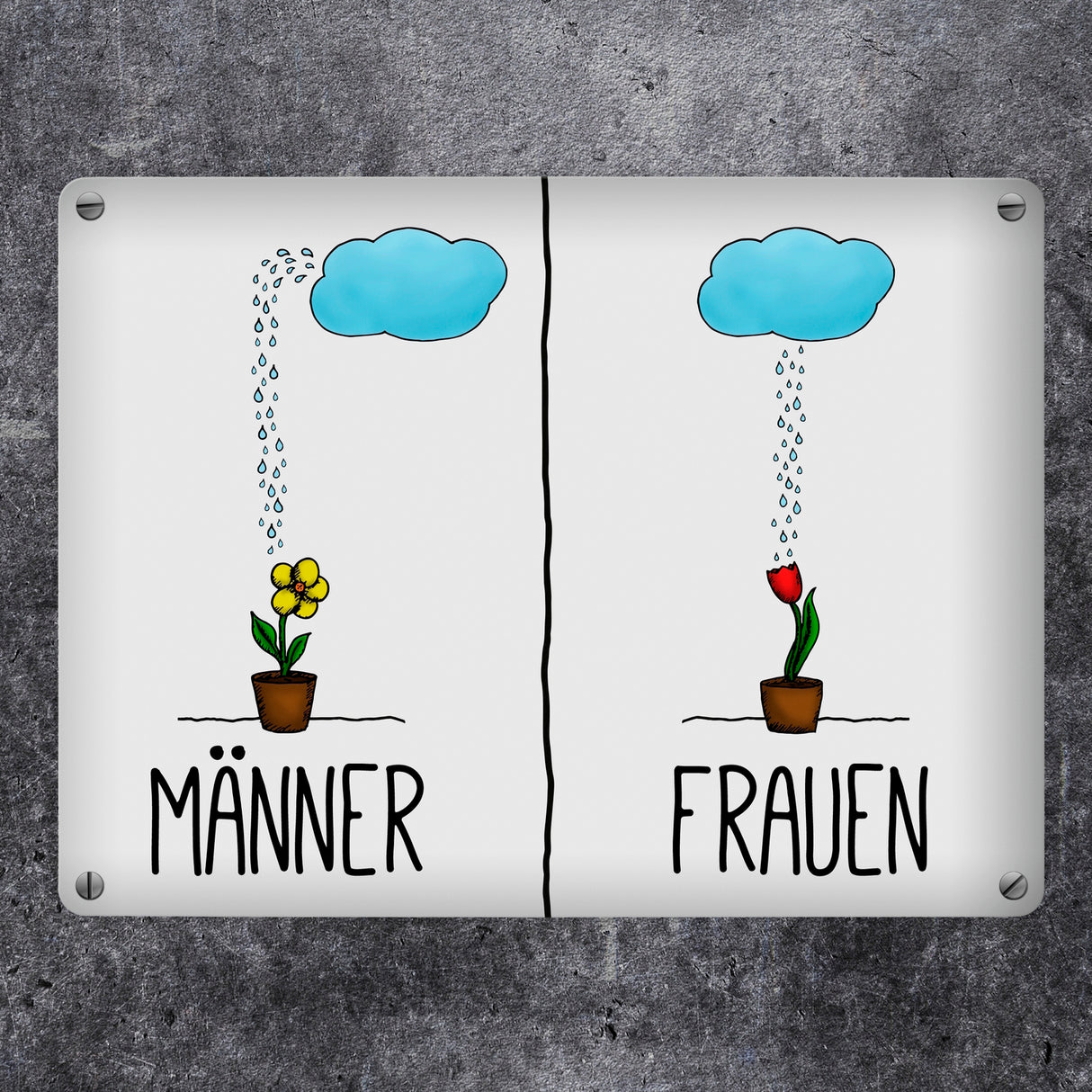 Metallschild mit Regenwolke Motiv - Toilettenschild