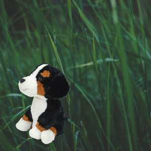 Laber Berner Sennenhund Kuscheltier mit Sprachwiedergabe