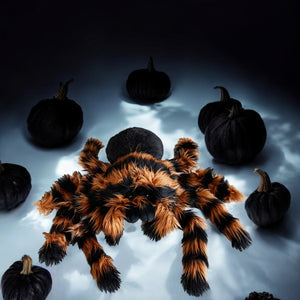 XXL Vogelspinne Kuscheltier Riesentarantel Halloween Spinne als Dekoration