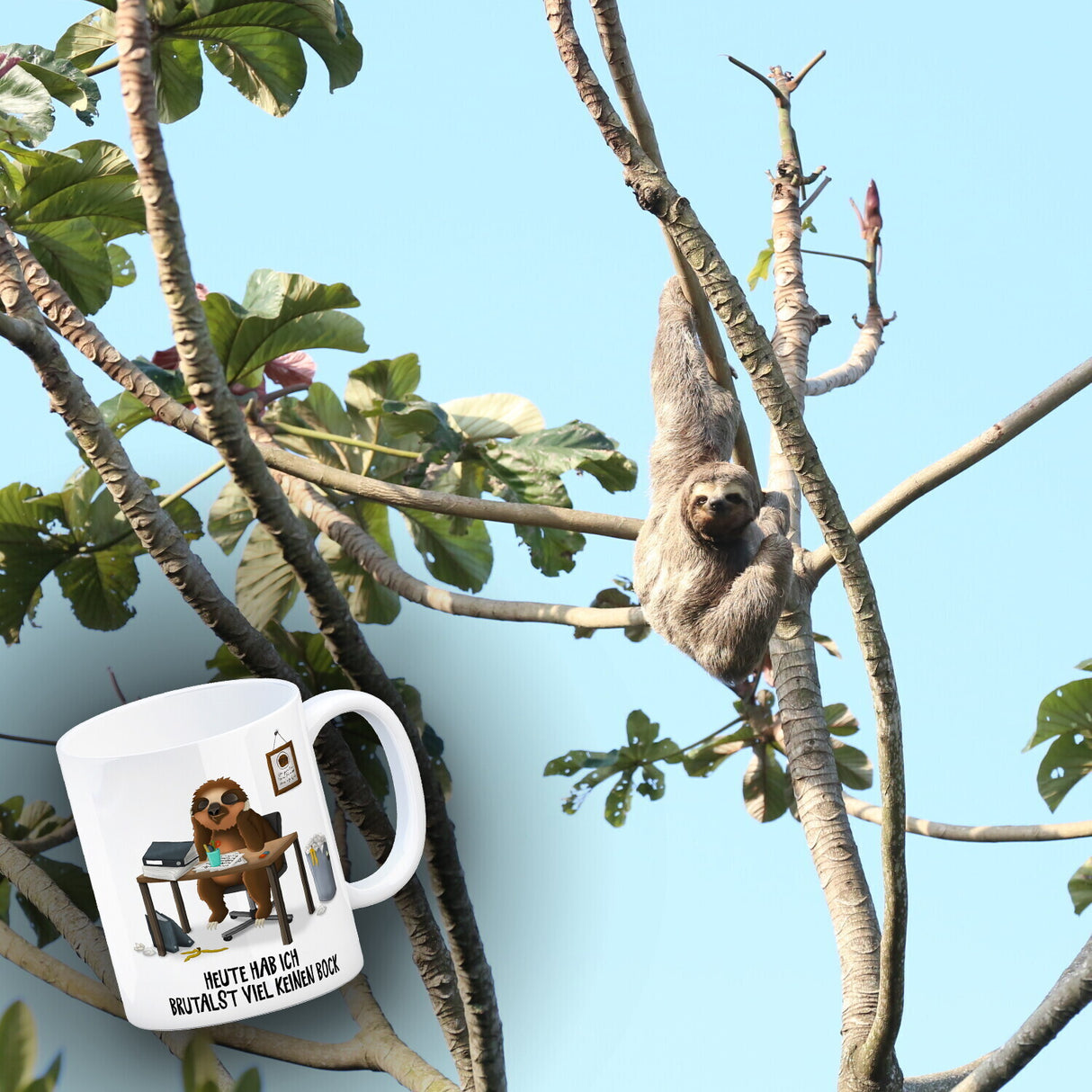Heute hab ich brutalst viel keinen Bock Kaffeebecher mit Faultier Motiv