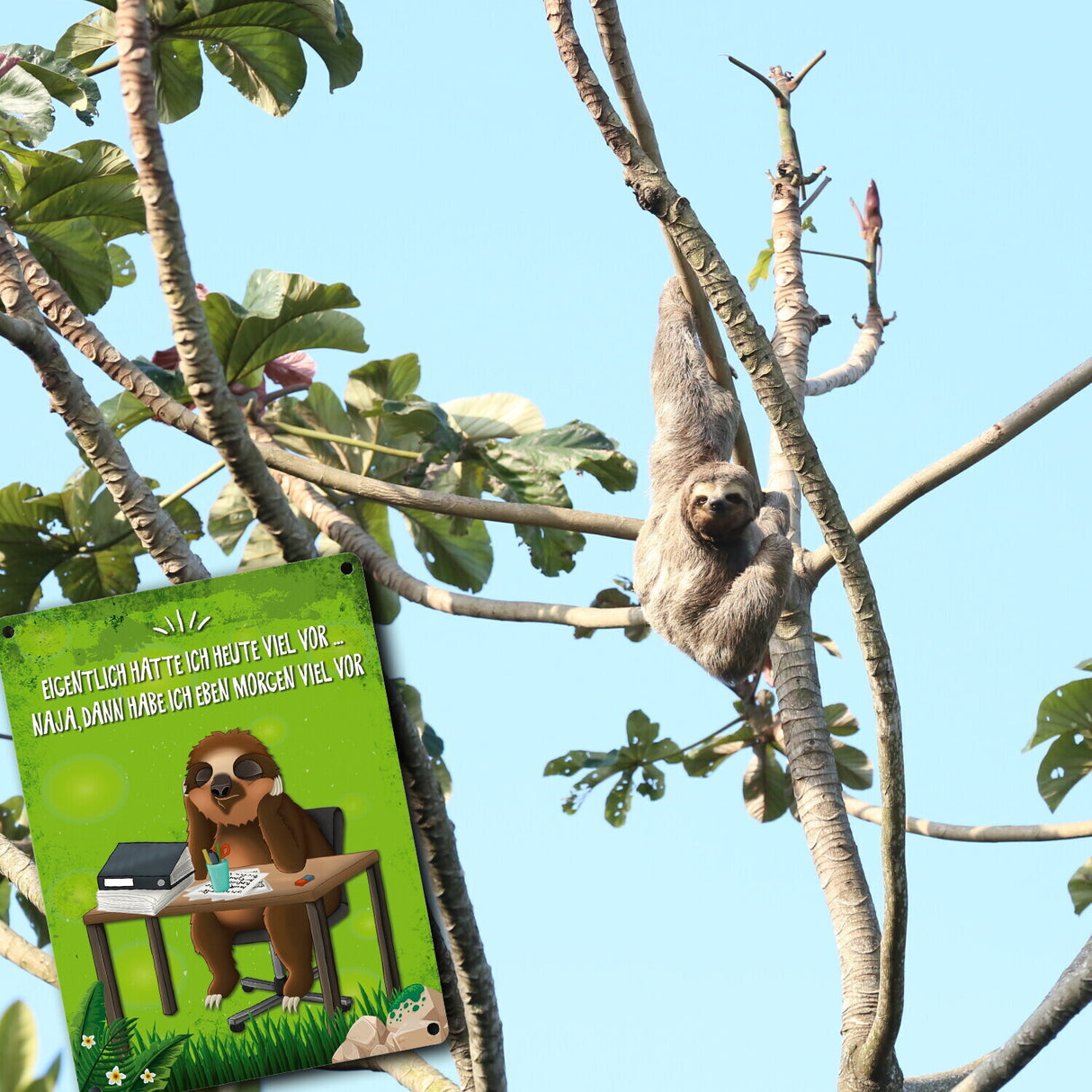 Eigentlich hatte ich heute viel vor… Faultier Metallschild