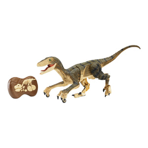 Ferngesteuerter Velociraptor Dinosaurier mit Licht und Sound