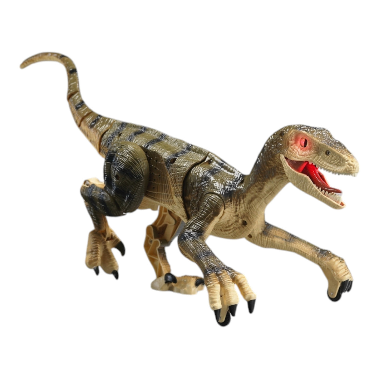 Ferngesteuerter Velociraptor Dinosaurier mit Licht und Sound