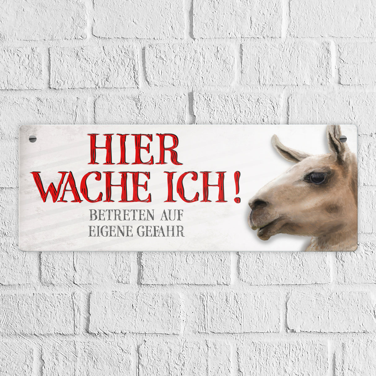 Metallschild mit Lama Motiv und Spruch: Betreten auf eigene Gefahr ...