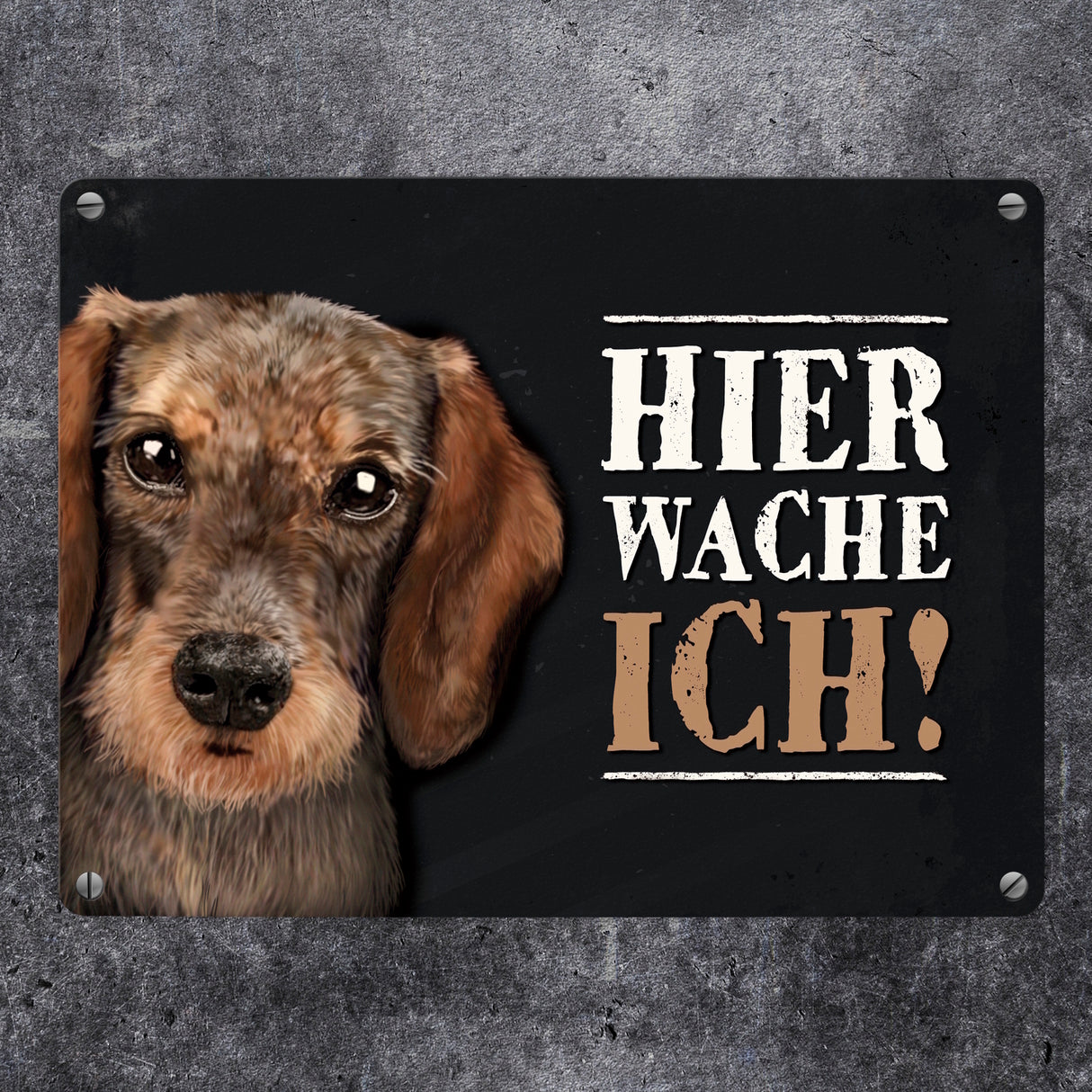 Hier wache ich! Dackel Metallschild