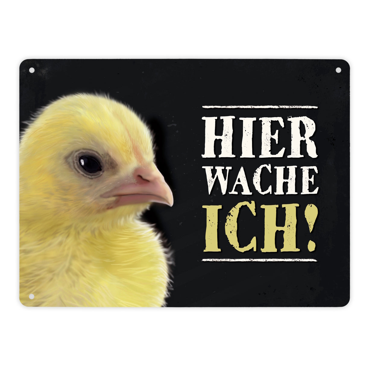 Metallschild mit Küken Motiv und Spruch: Hier wache ich!