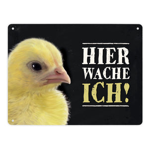 Metallschild mit Küken Motiv und Spruch: Hier wache ich!