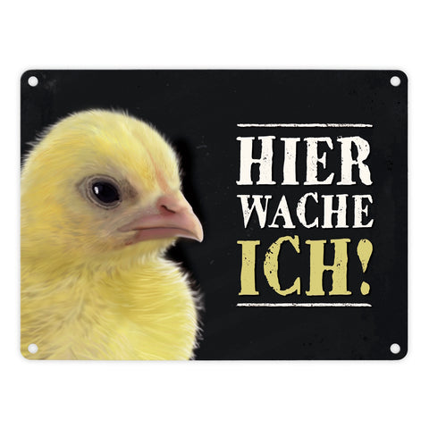 Metallschild mit Küken Motiv und Spruch: Hier wache ich!