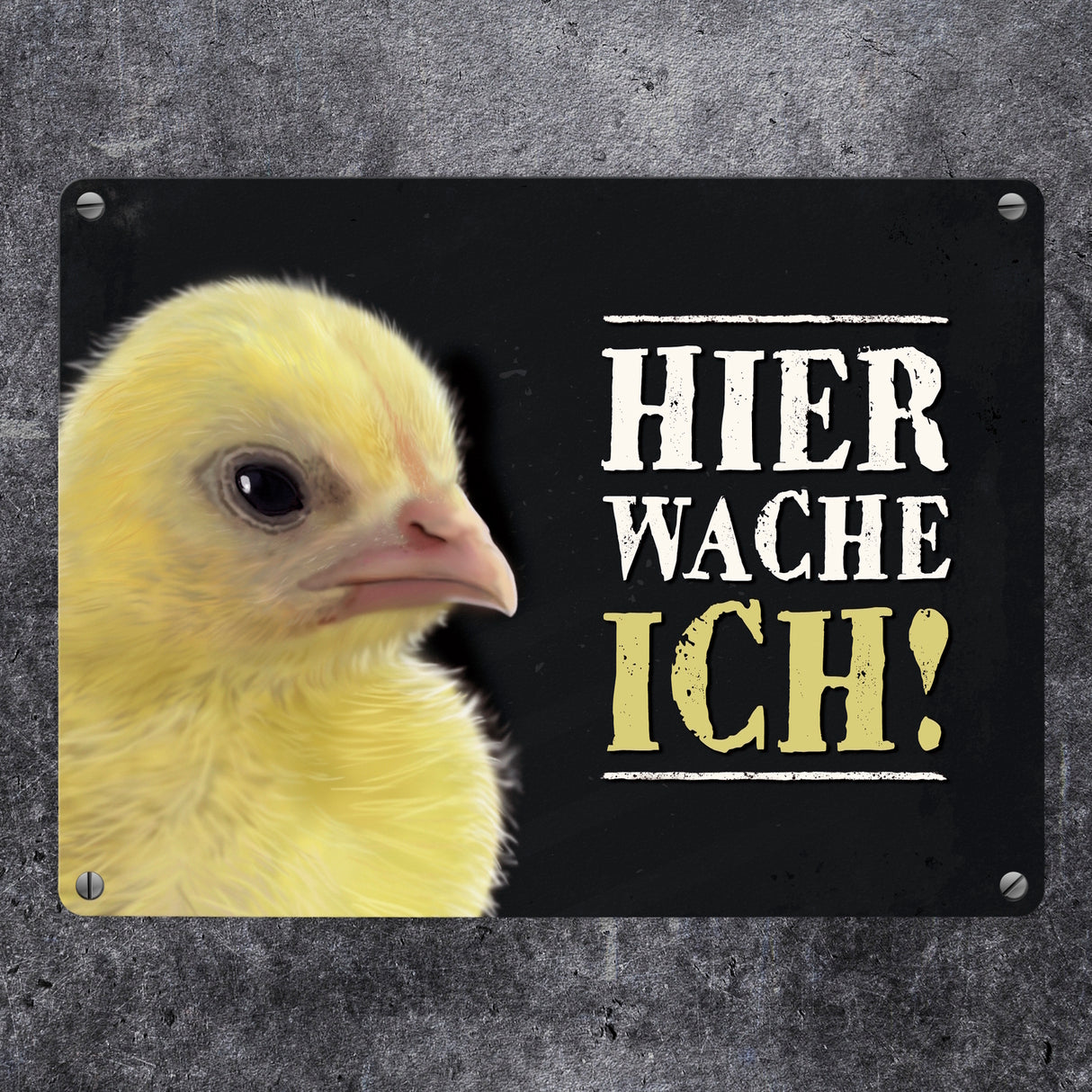 Metallschild mit Küken Motiv und Spruch: Hier wache ich!