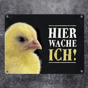 Metallschild mit Küken Motiv und Spruch: Hier wache ich!