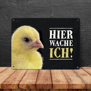 Metallschild mit Küken Motiv und Spruch: Hier wache ich!