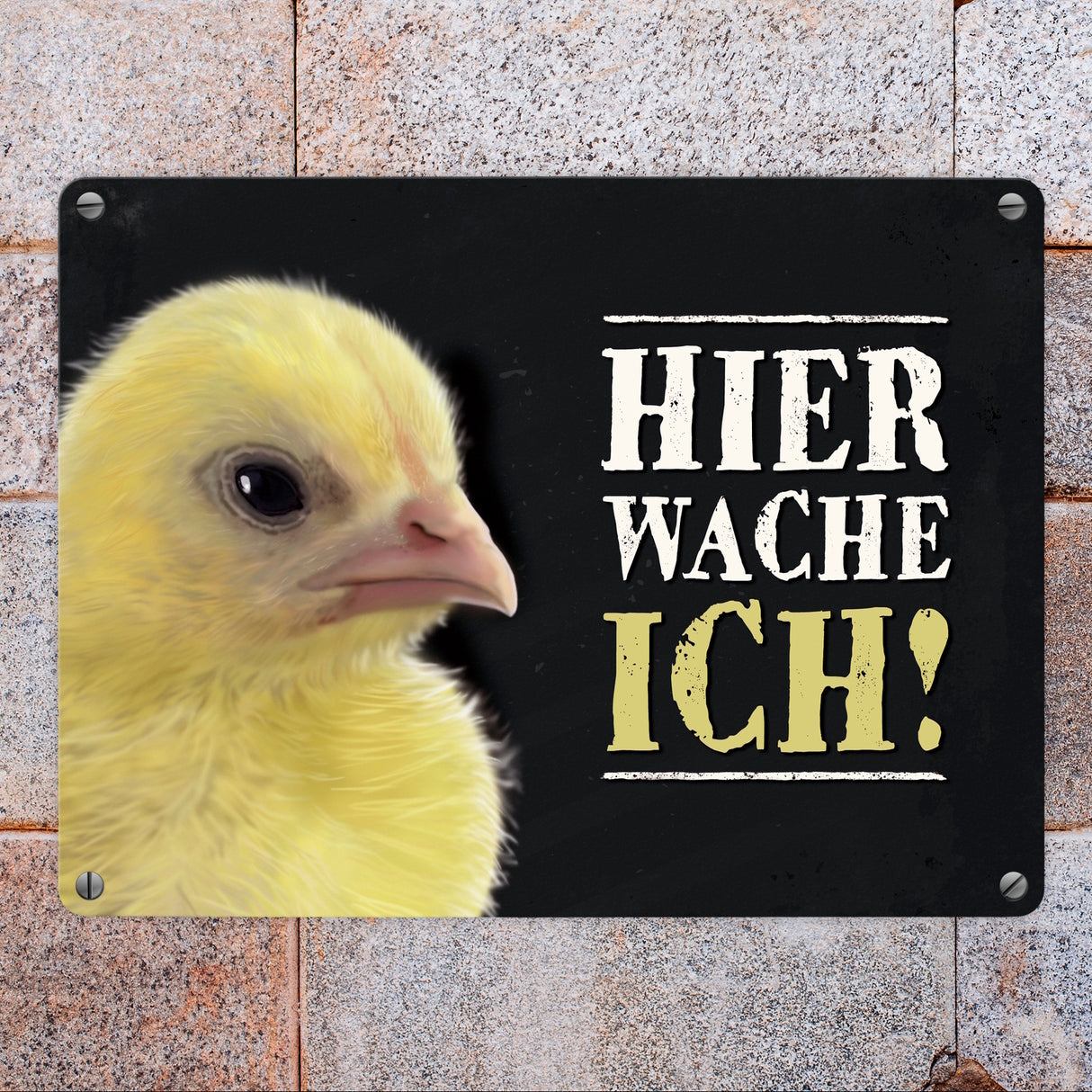 Metallschild mit Küken Motiv und Spruch: Hier wache ich!