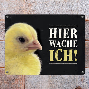 Metallschild mit Küken Motiv und Spruch: Hier wache ich!