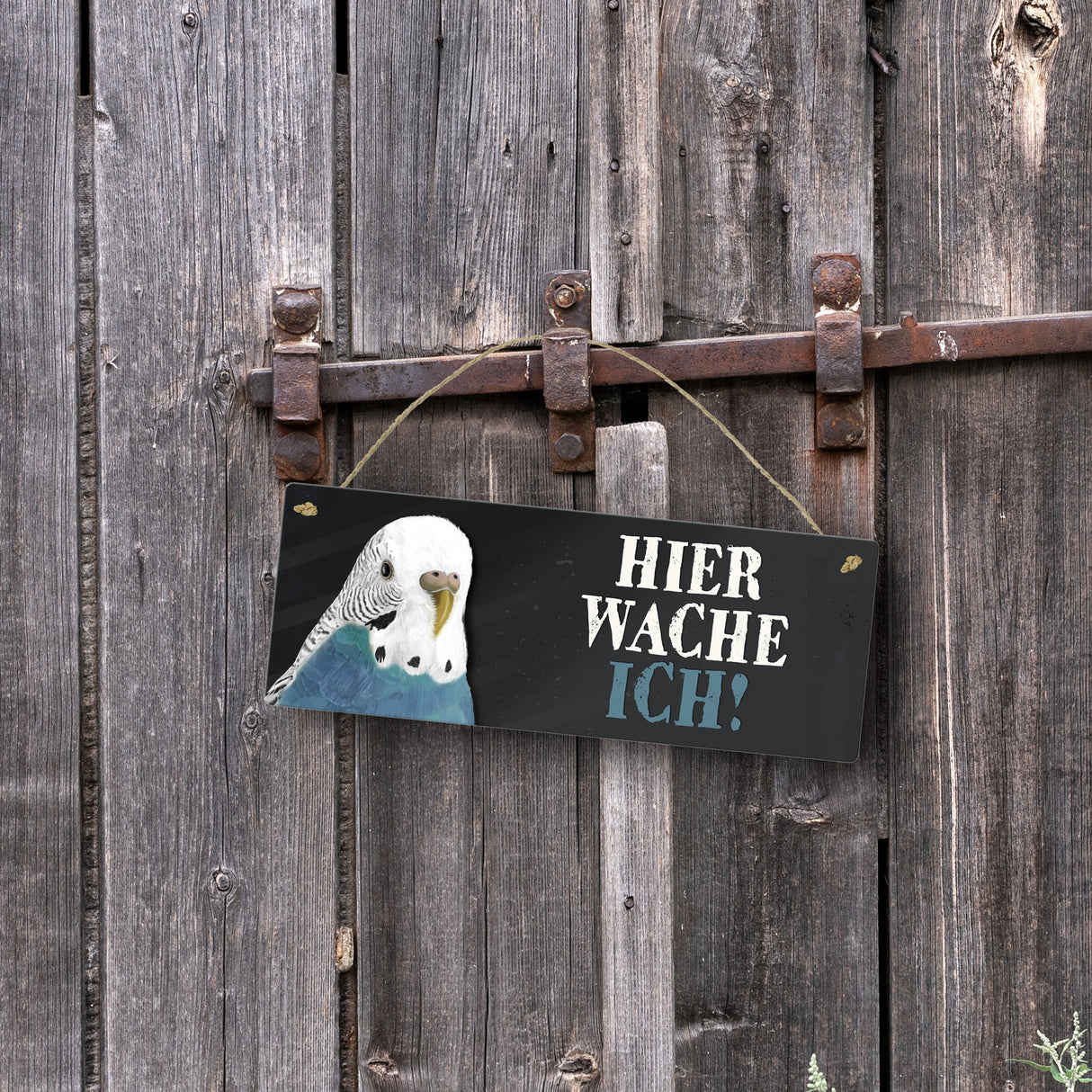 Metallschild mit Wellensittich blau Motiv und Spruch: Hier wache ich!