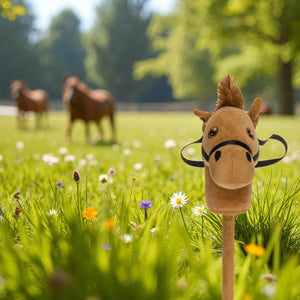 Hobby Horse Steckenpferd