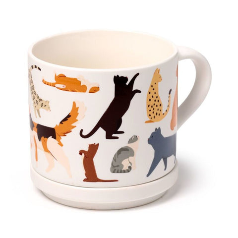 Feline Fine Katzen Kaffeebecher & Untersetzer Set