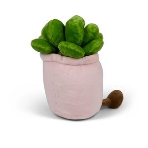 Kawaii Sukkulente Animigos Funky Friends Kuscheltier in zufälliger Variante