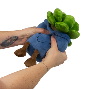 Kawaii Sukkulente Animigos Funky Friends Kuscheltier in zufälliger Variante