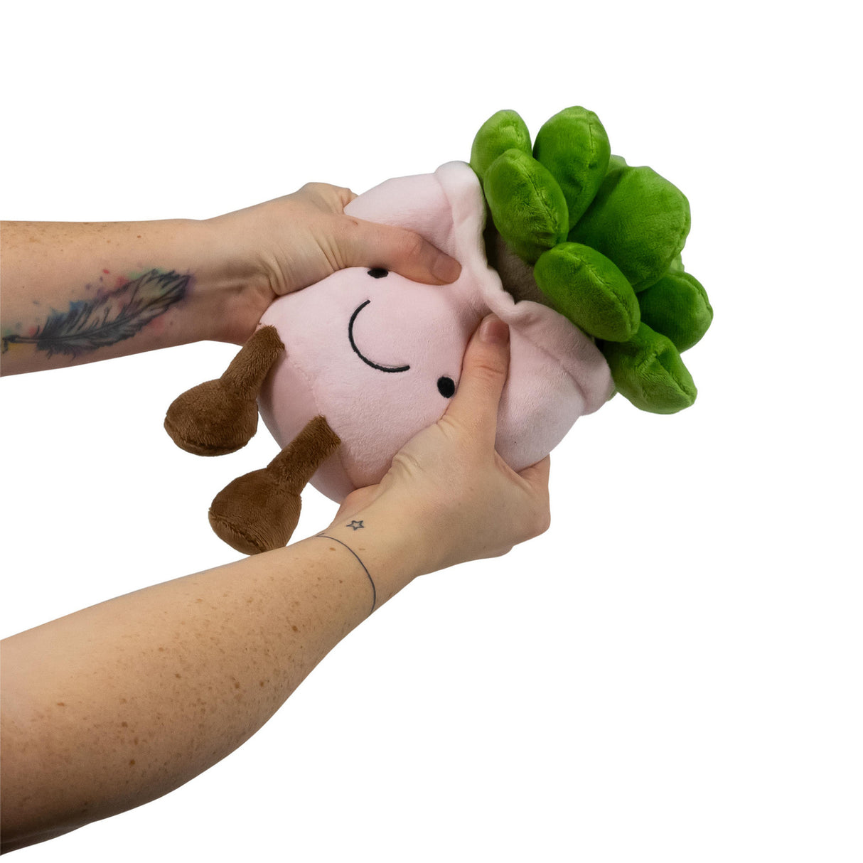 Kawaii Sukkulente Animigos Funky Friends Kuscheltier in zufälliger Variante