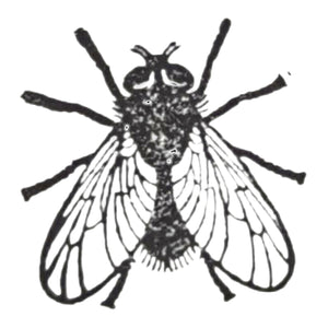 Fliege Holzstempel